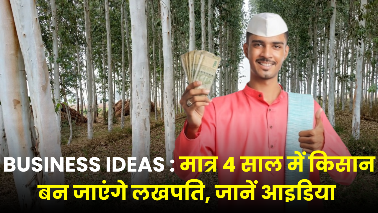 Eucalyptus Business Idea